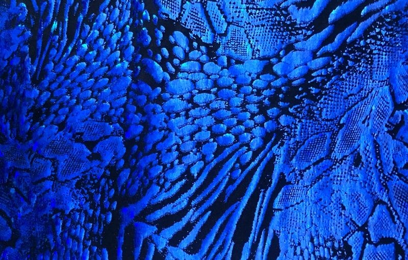 Wildlife Hologram – Royal Blue/Black