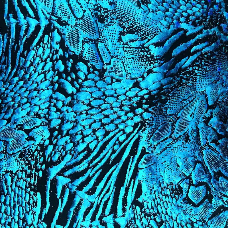 Wildlife Hologram – Turquoise/Black