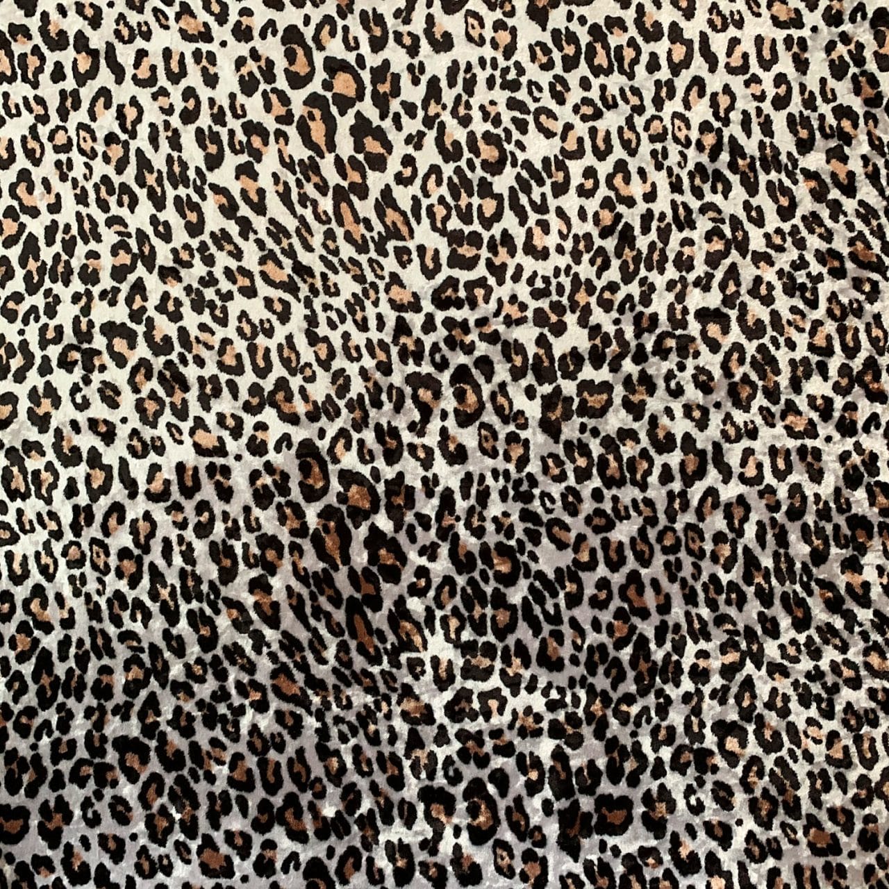 Cheetah Print - Velvet