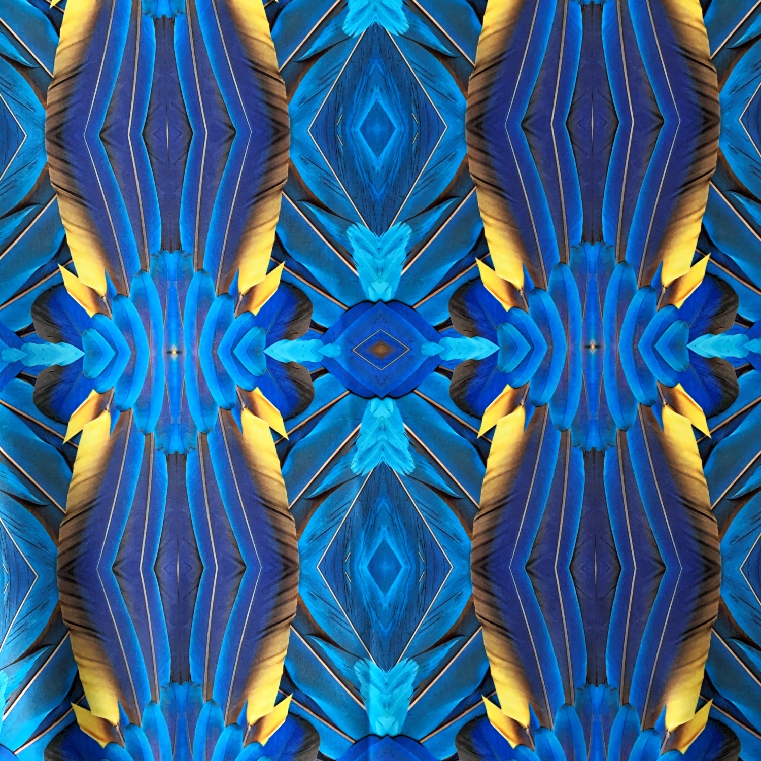 Feather Print Swimwear Fabric - Royal blue macaw feather print