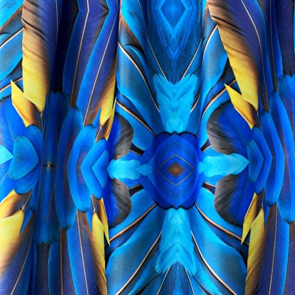 Royal Blue Macaw Feather Print Swimwear Fabric